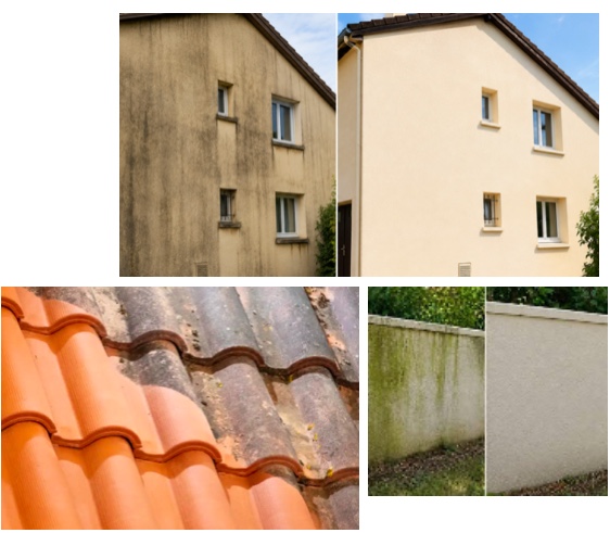 Nettoyage et démoussage de toiture, façade et murs en Charente-Maritime par ProprieZen